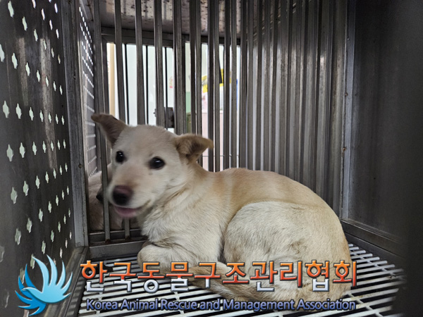 한국동물구조관리협회_441409202401867